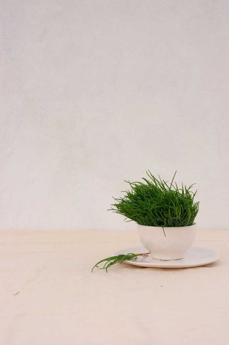 Immagine di Agretto € al mazzo