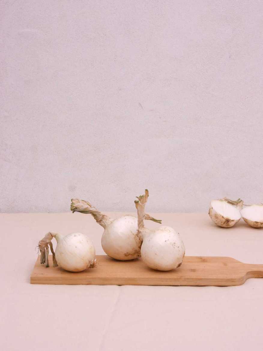 Immagine di Cipolla Bianca