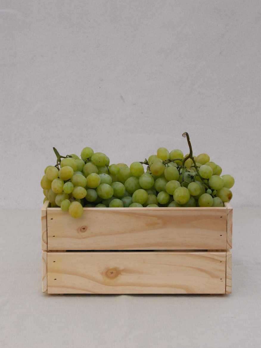 Immagine di Uva Bianca