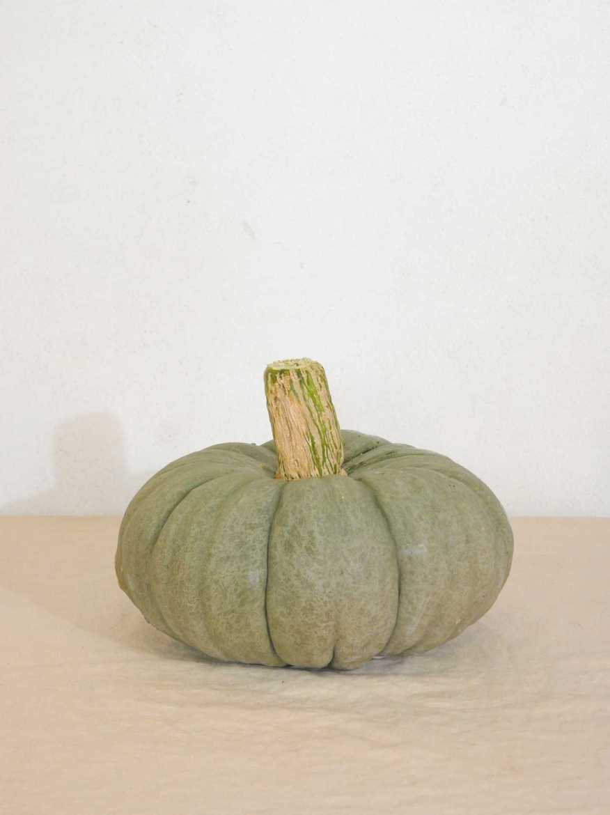 Immagine di Zucca Beretta Piacentina