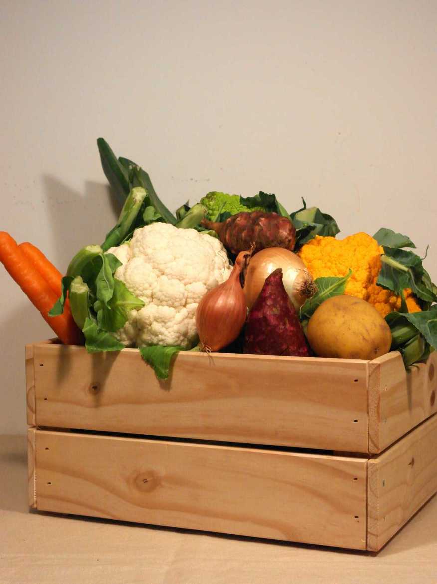 Immagine di Box VERDURA M