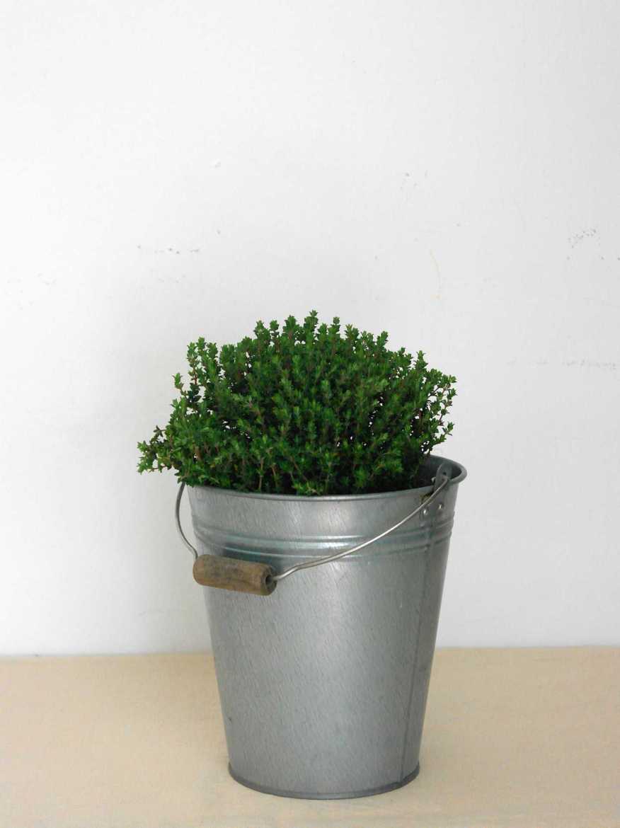 Immagine di TIMO FAUSTINI Vaso 14