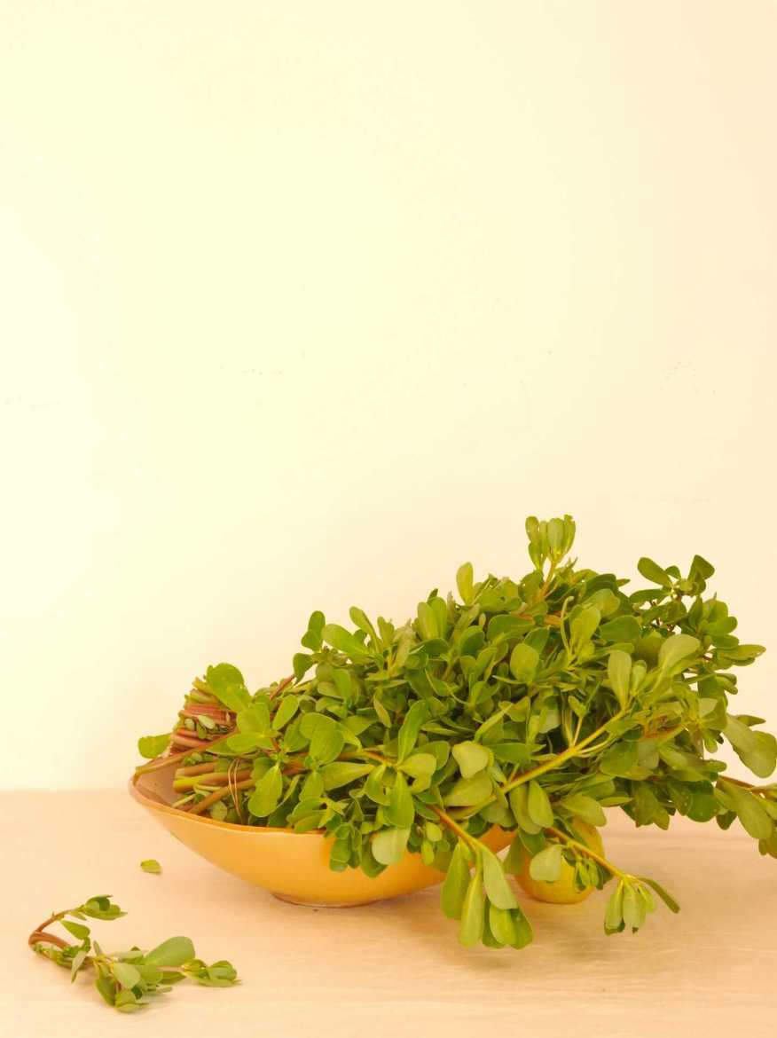 Immagine di Portulaca Estiva €/mazzo